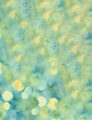 Image Not Available
